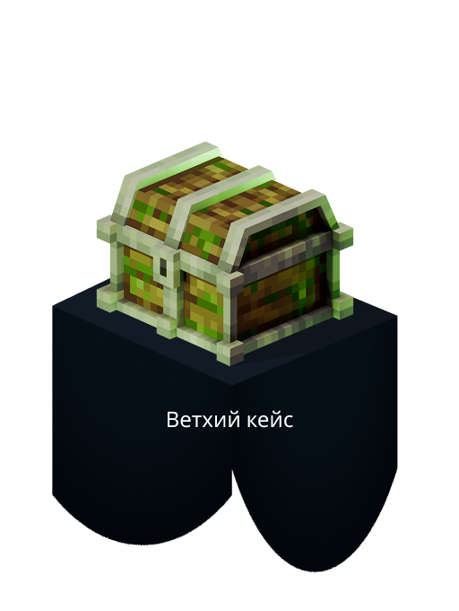 кейс