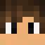 Скин HomaCraft